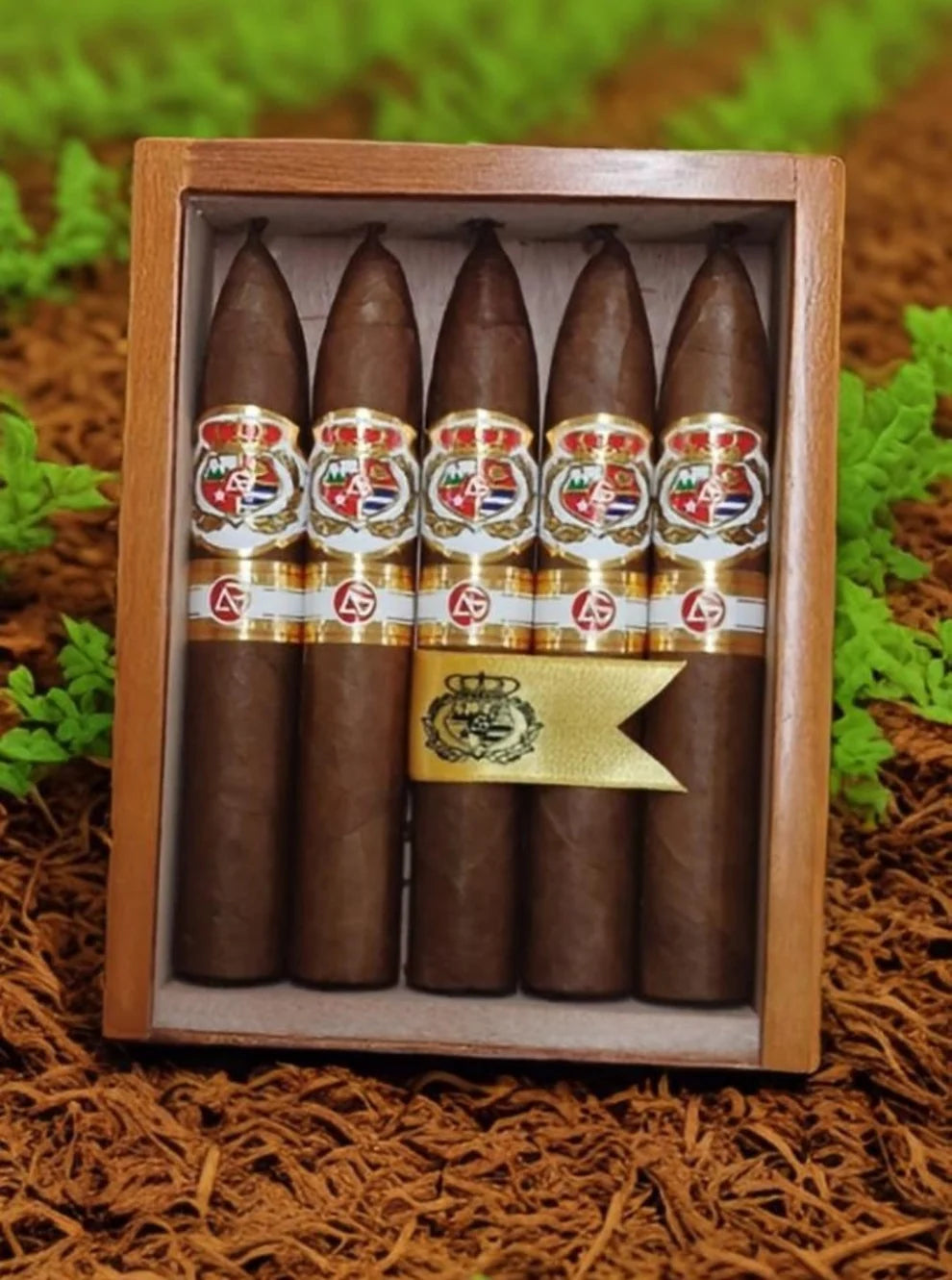 AG Cigars Pirimides Gloriosos